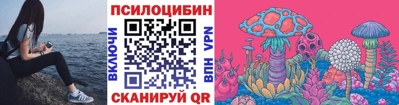 где купить наркоту Отрадный Псилоцибиновые грибы Cubensis